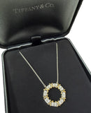 Schlumberger for Tiffany & Co., Sixteen Stone Diamond Circle Pendant/Necklace