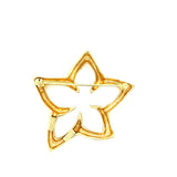 Tiffany & Co. 18K Yellow Gold Flower Star Brooch