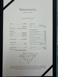 Tiffany & Co. Diamond Necklace in Platinum