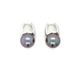 Mikimoto, 18 Karat White Gold, Cultured South Sea Pearl and Dianond Earrings