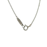 Schlumberger for Tiffany & Co., Sixteen Stone Diamond Circle Pendant/Necklace